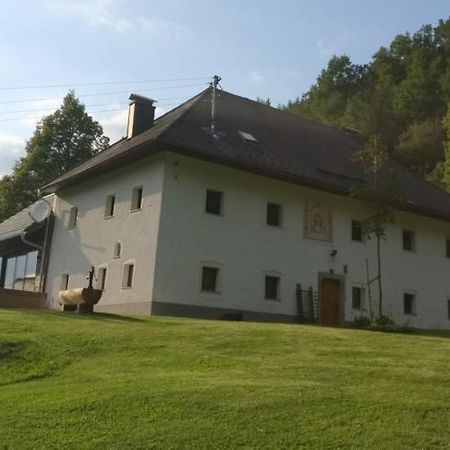 Ferienwohnung Schlosek In Der Nationalparkregion Kalkalpen Forstau  Εξωτερικό φωτογραφία