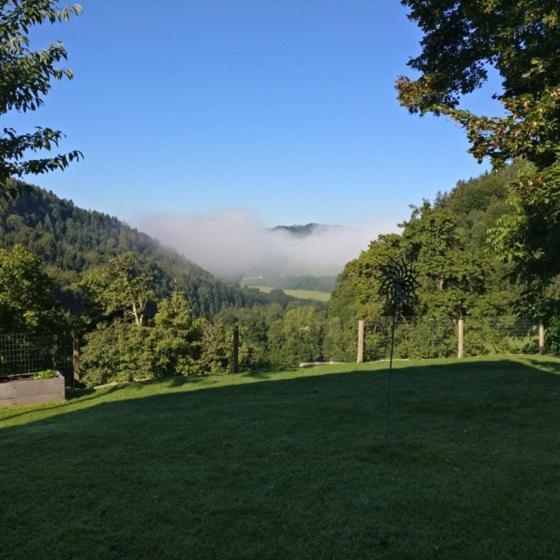 Ferienwohnung Schlosek In Der Nationalparkregion Kalkalpen Forstau  Εξωτερικό φωτογραφία