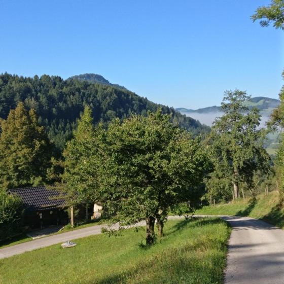 Ferienwohnung Schlosek In Der Nationalparkregion Kalkalpen Forstau  Εξωτερικό φωτογραφία