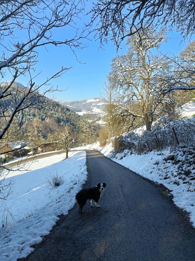 Ferienwohnung Schlosek In Der Nationalparkregion Kalkalpen Forstau  Εξωτερικό φωτογραφία